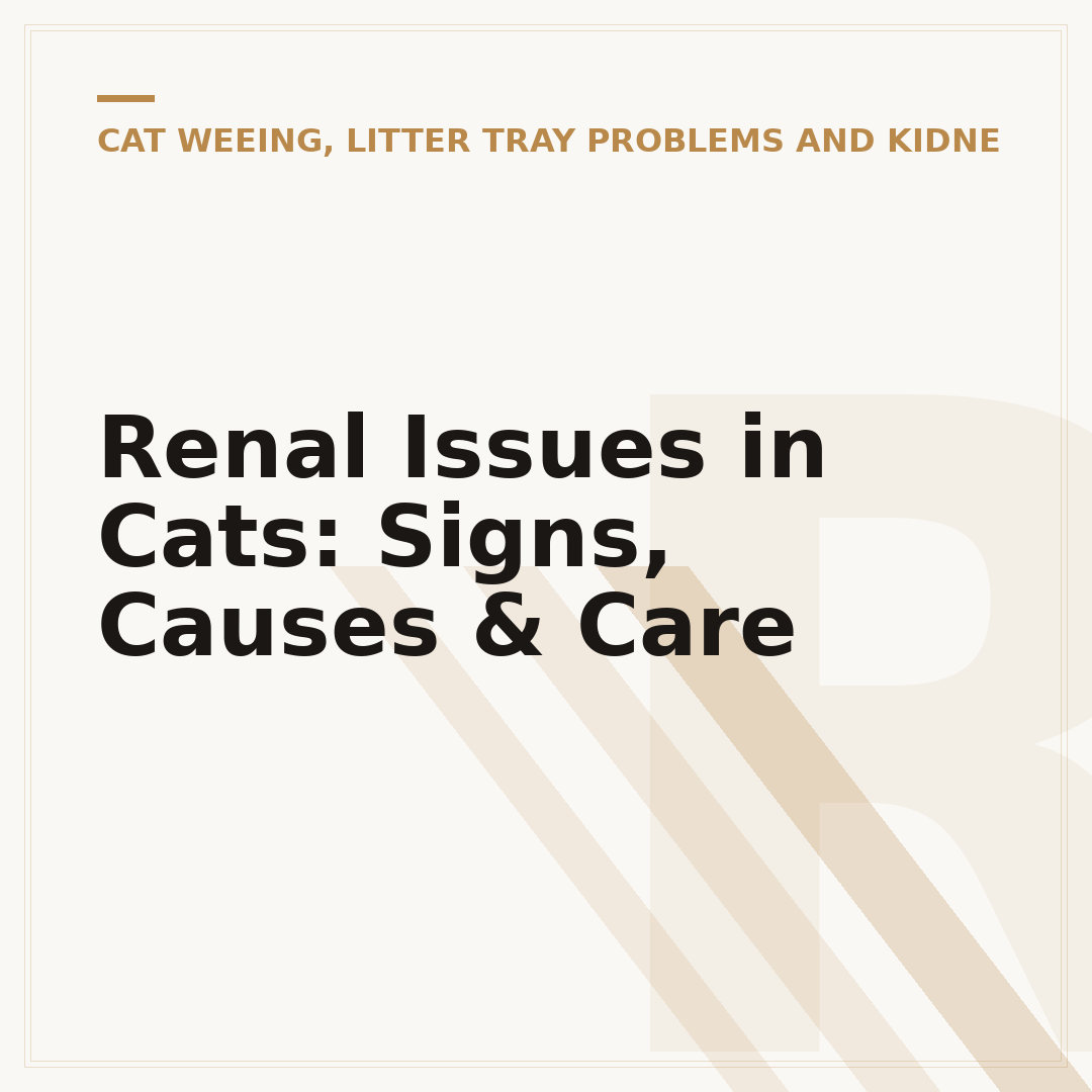 Renal Issues in Cats: Signs, Causes & Care