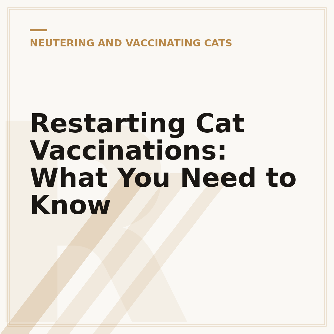Restarting Cat Vaccinations: What You Need to Know