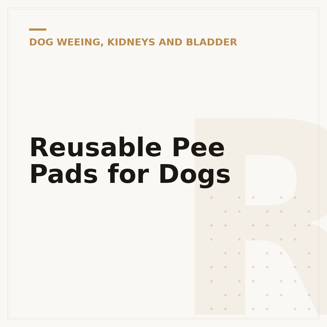 Reusable Pee Pads for Dogs