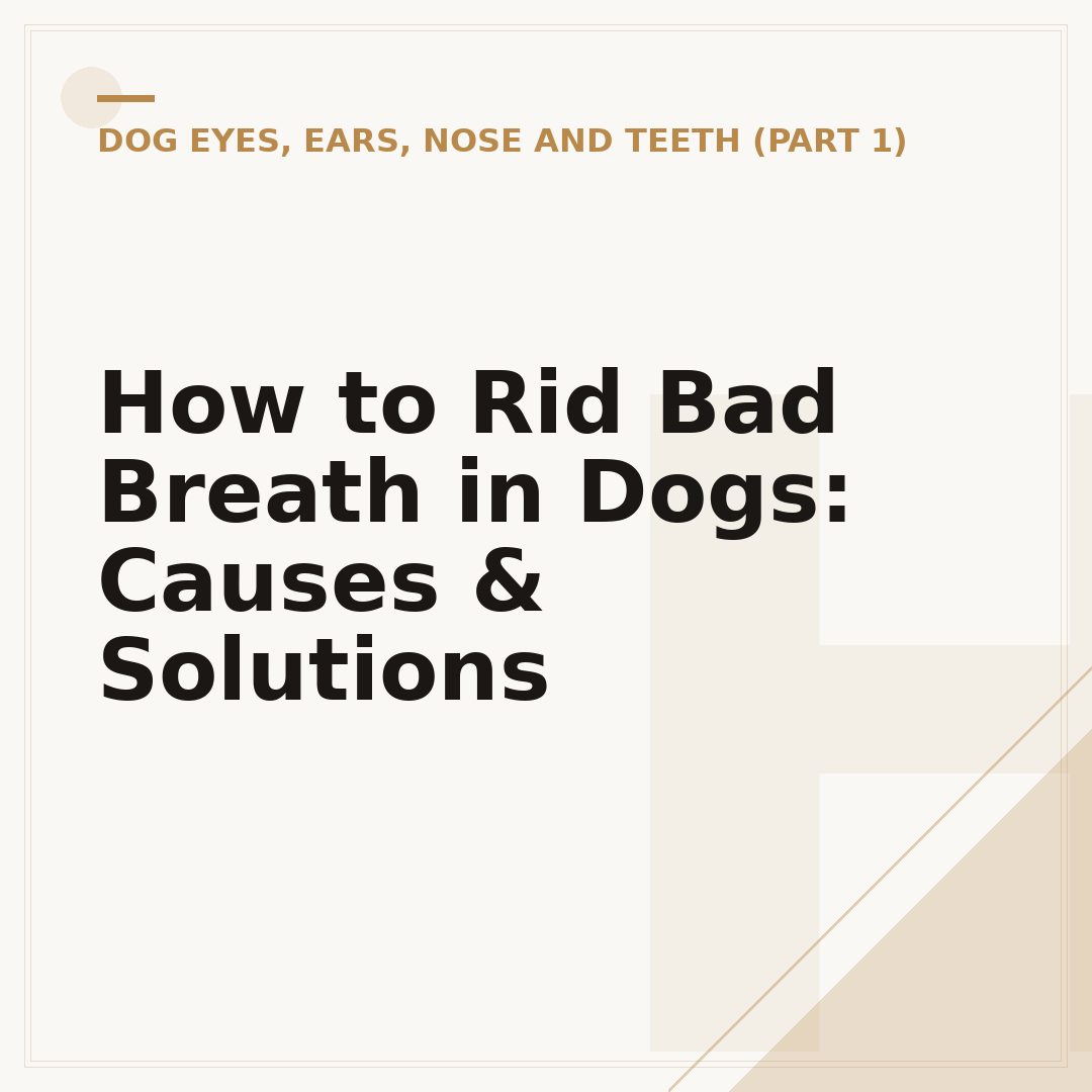 How to Rid Bad Breath in Dogs: Causes & Solutions