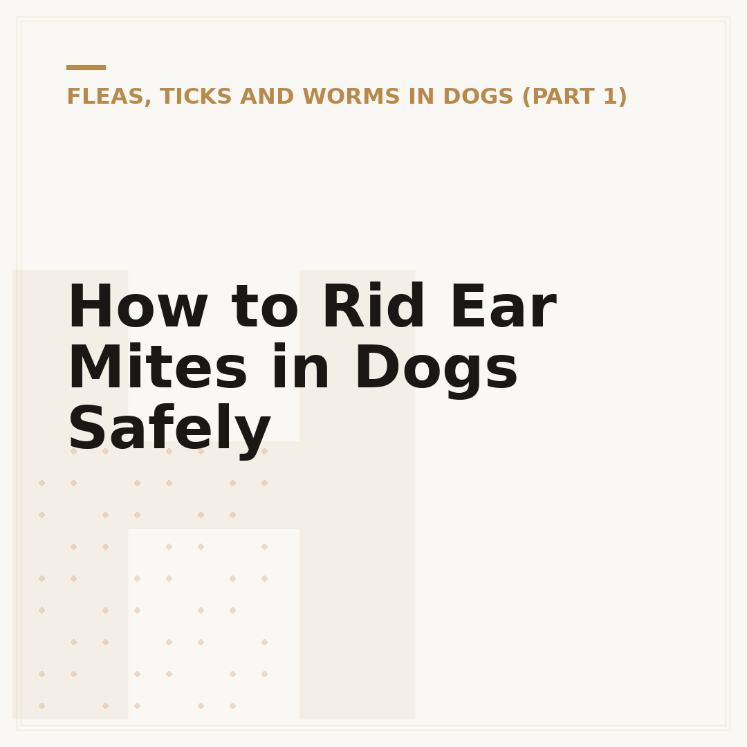How to Rid Ear Mites in Dogs Safely