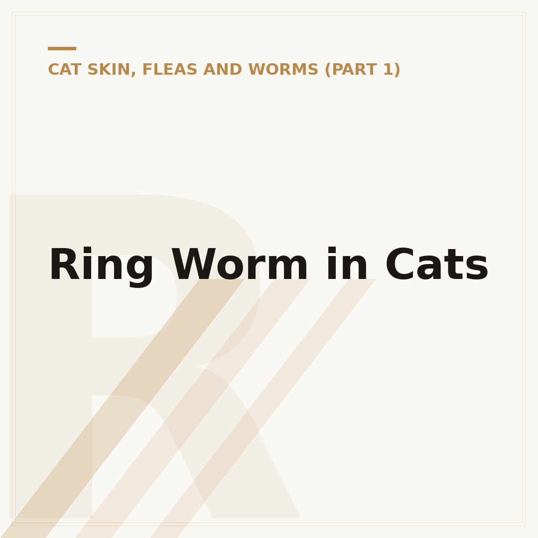 Ring Worm in Cats