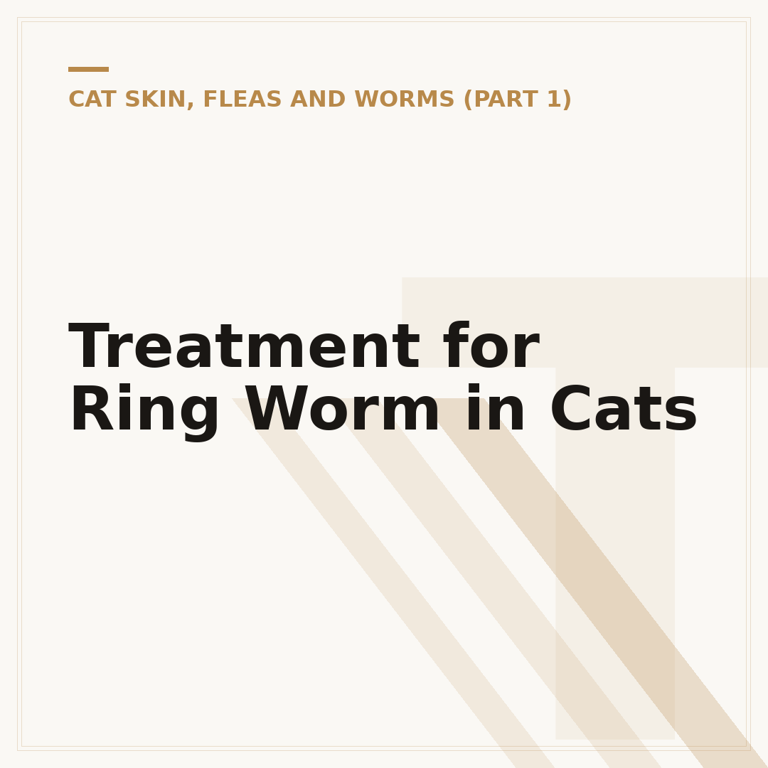 Treatment for Ring Worm in Cats