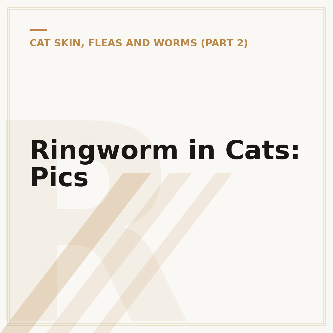 Ringworm in Cats: Pics