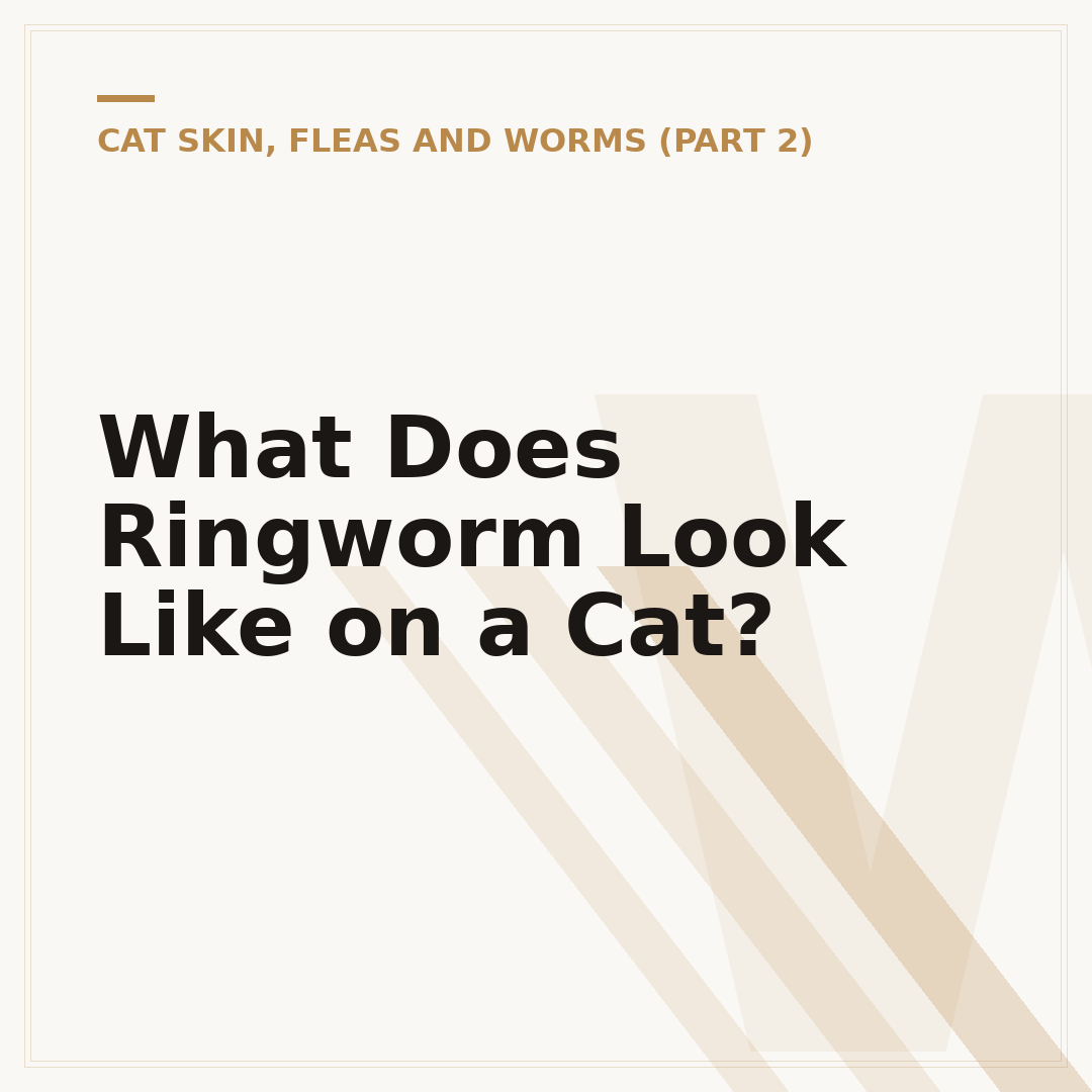 What Does Ringworm Look Like on a Cat?