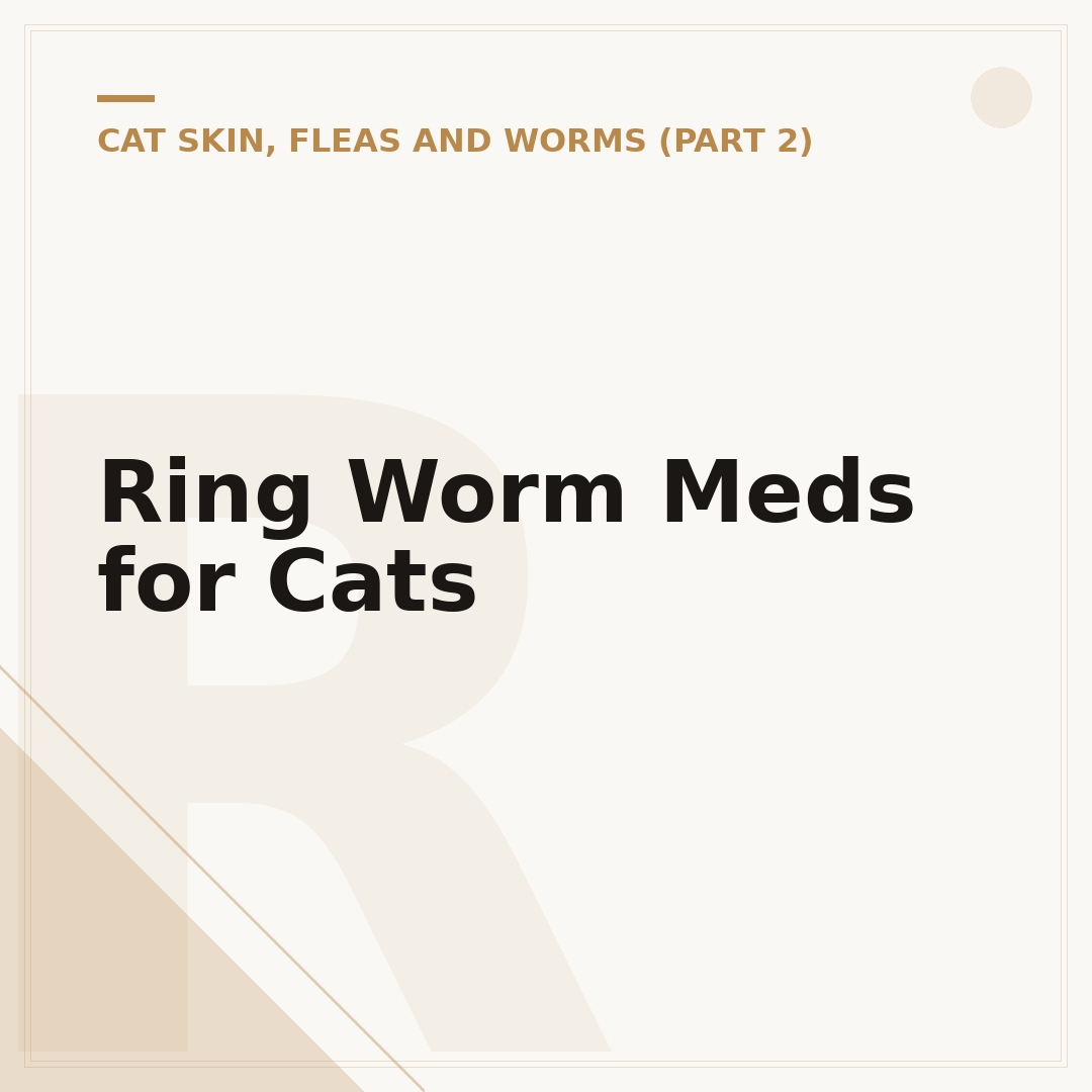 Ring Worm Meds for Cats