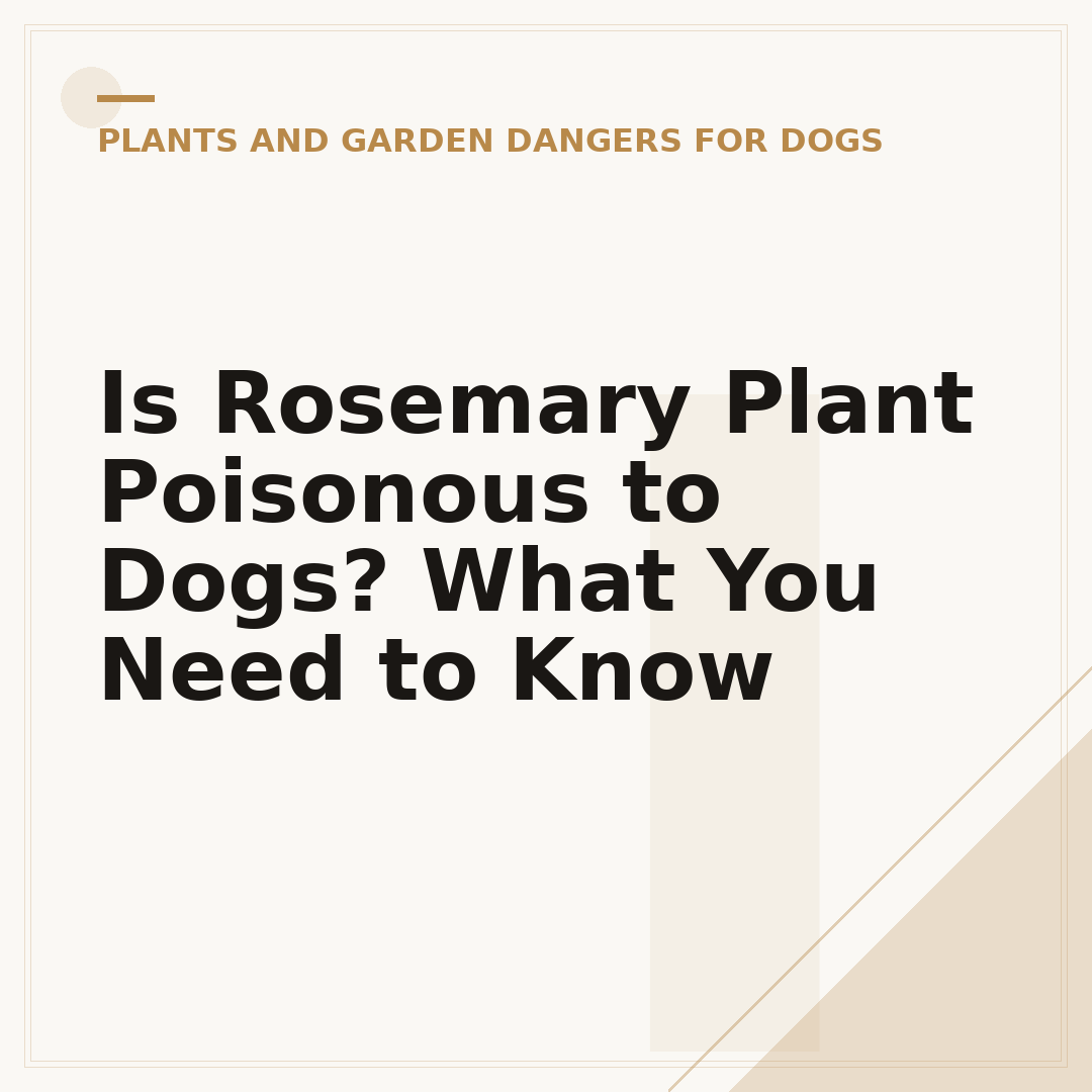 Is Rosemary Plant Poisonous to Dogs? What You Need to Know