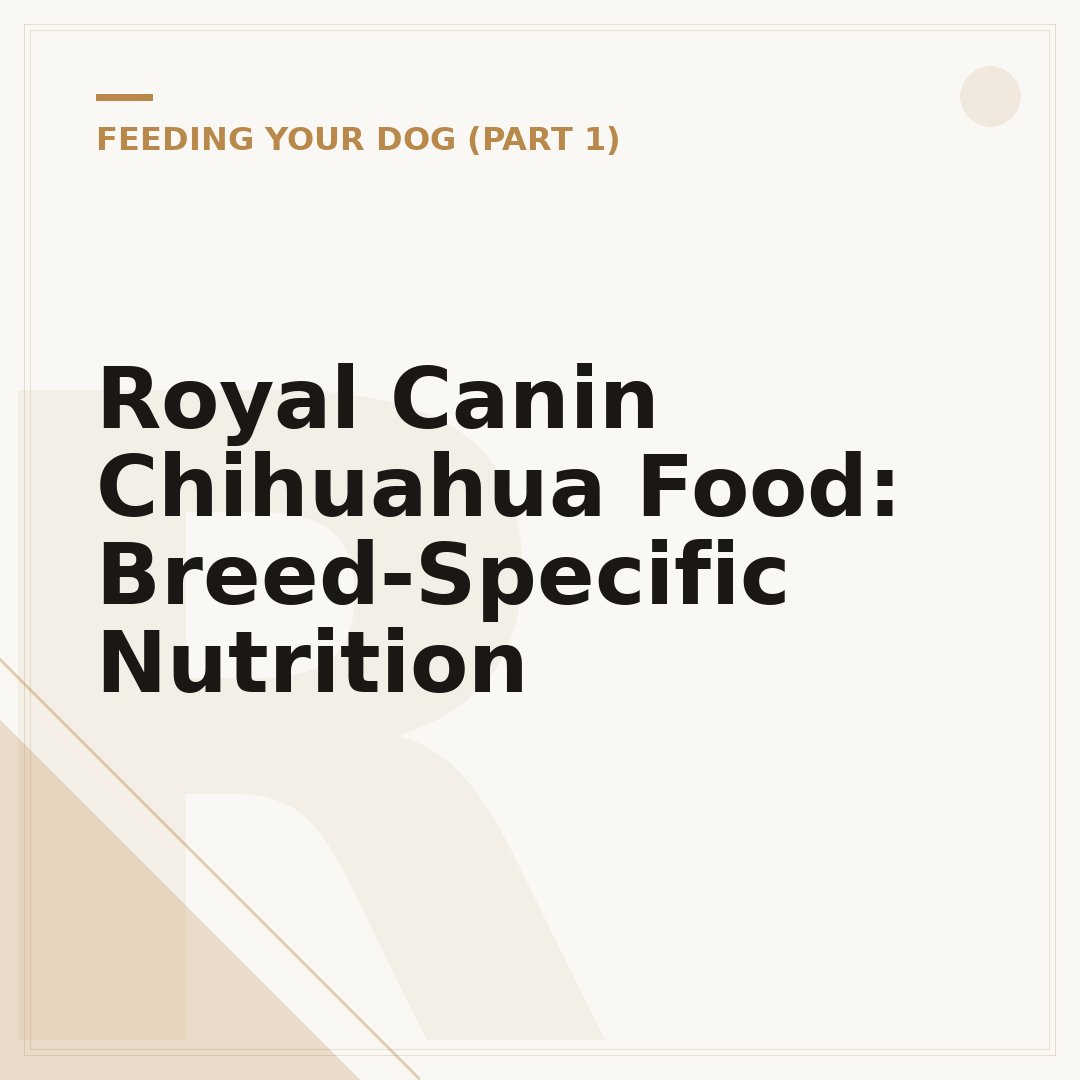 Royal Canin Chihuahua Food: Breed-Specific Nutrition