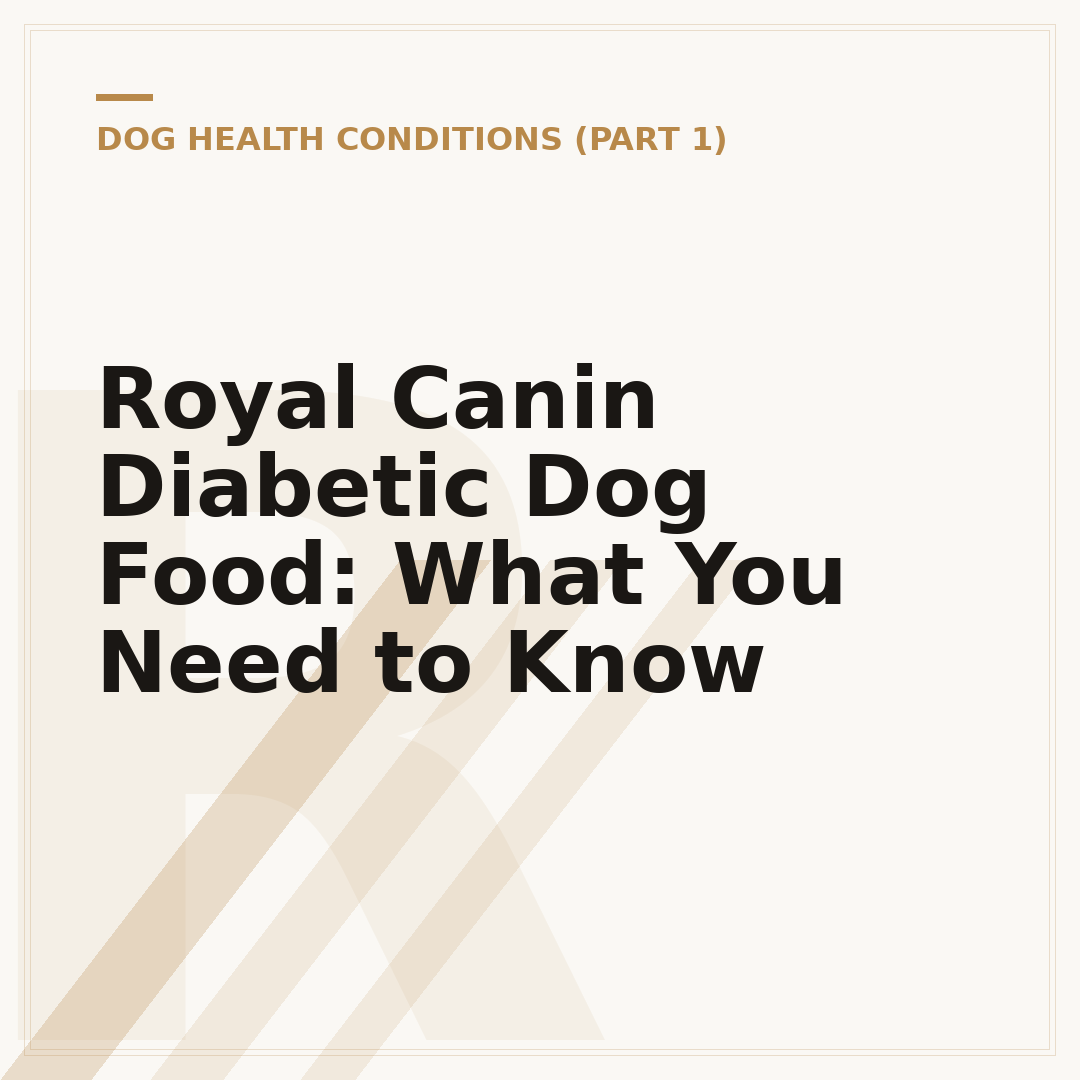Royal Canin Diabetic Dog Food: What You Need to Know