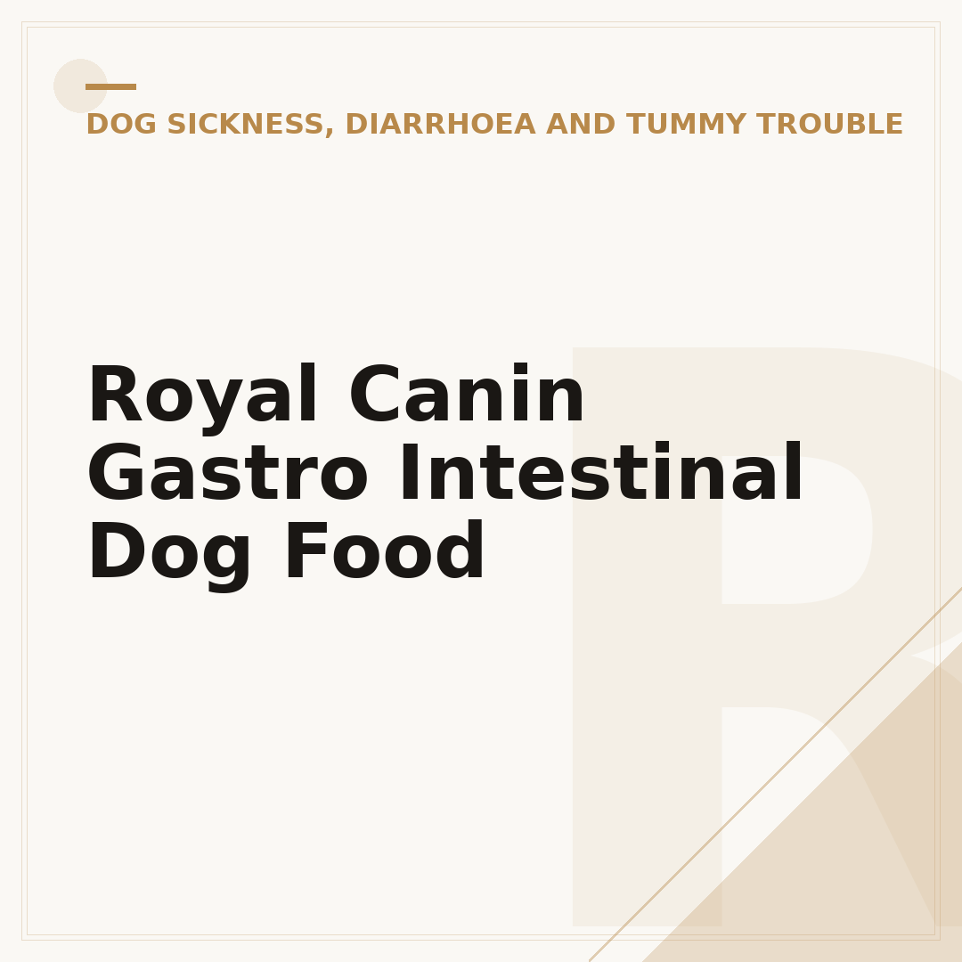 Royal Canin Gastro Intestinal Dog Food