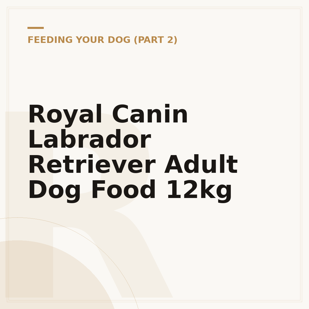 Royal Canin Labrador Retriever Adult Dog Food 12kg