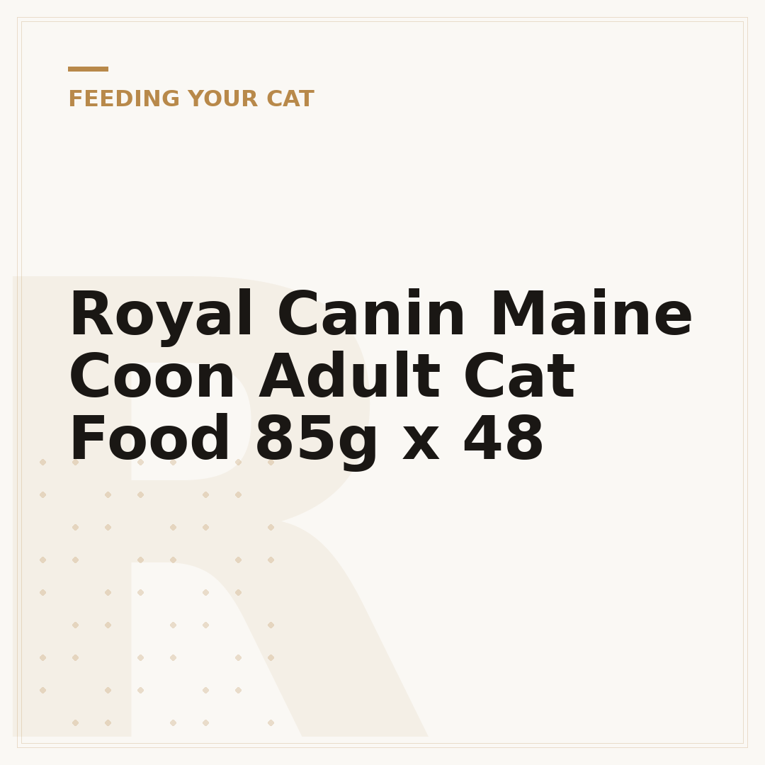 Royal Canin Maine Coon Adult Cat Food 85g x 48