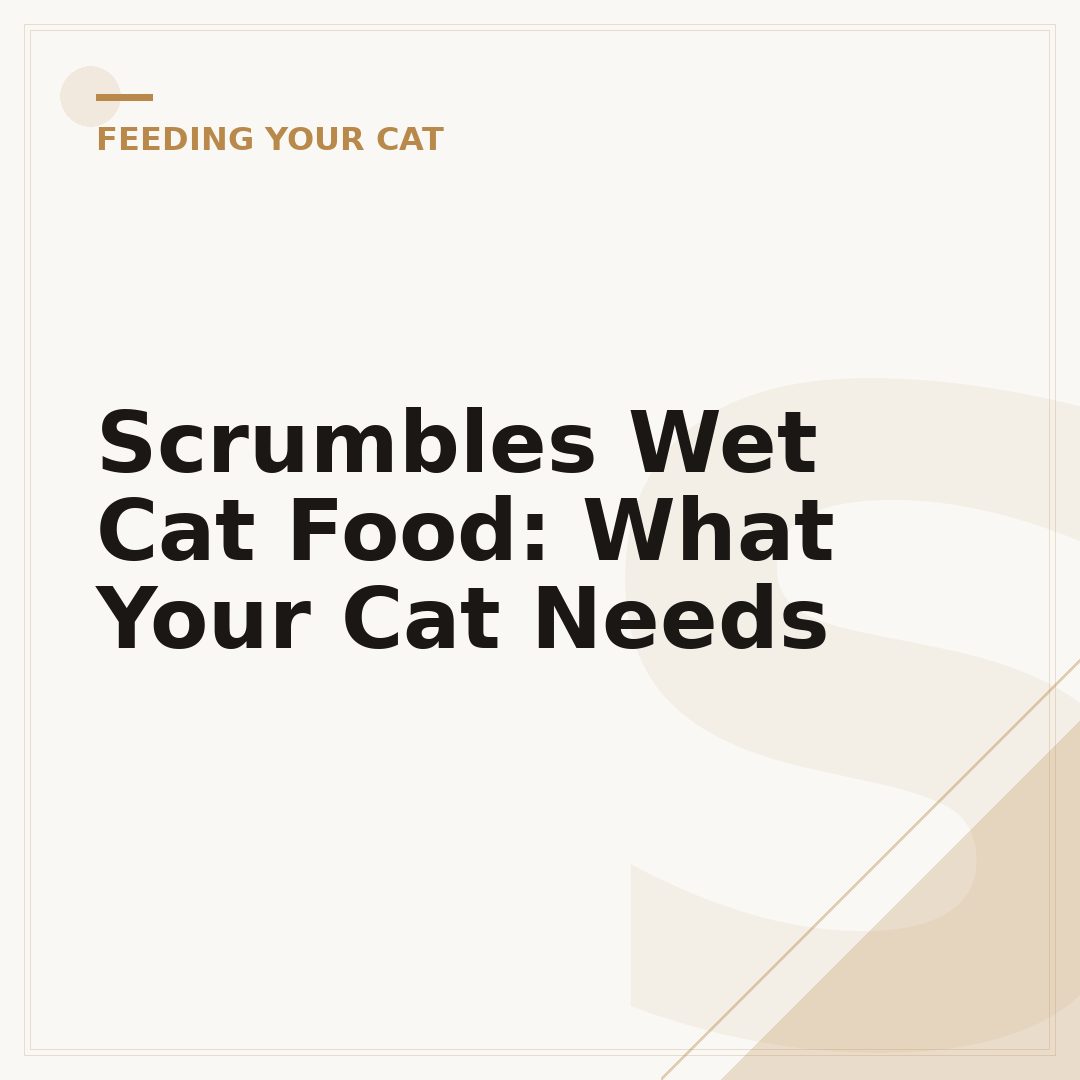 Scrumbles Wet Cat Food: What Your Cat Needs