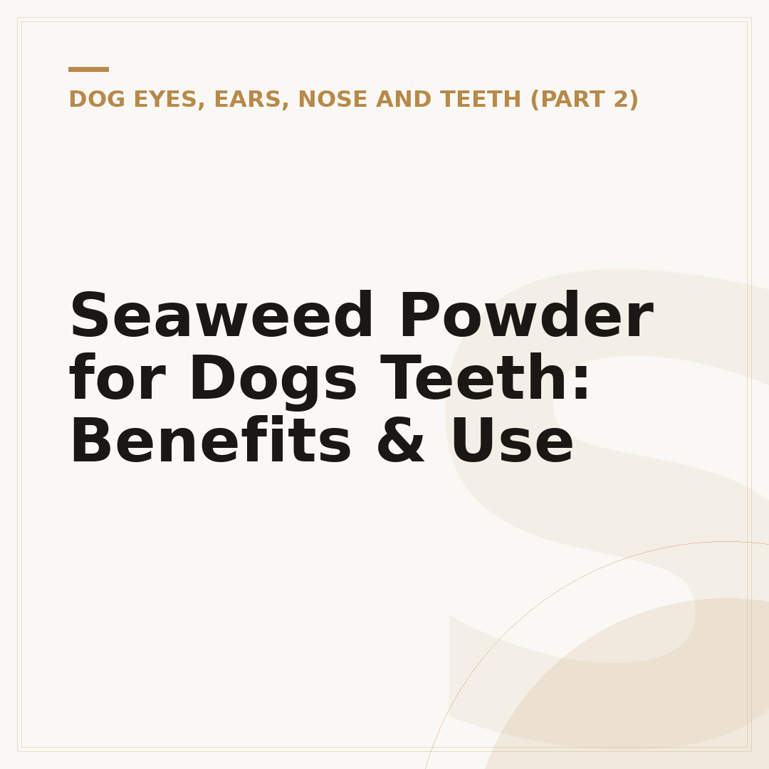 Seaweed Powder for Dogs Teeth: Benefits & Use