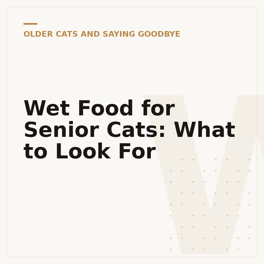 Wet Food for Senior Cats: What to Look For