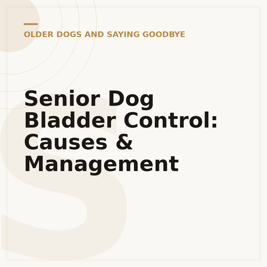 Senior Dog Bladder Control: Causes & Management