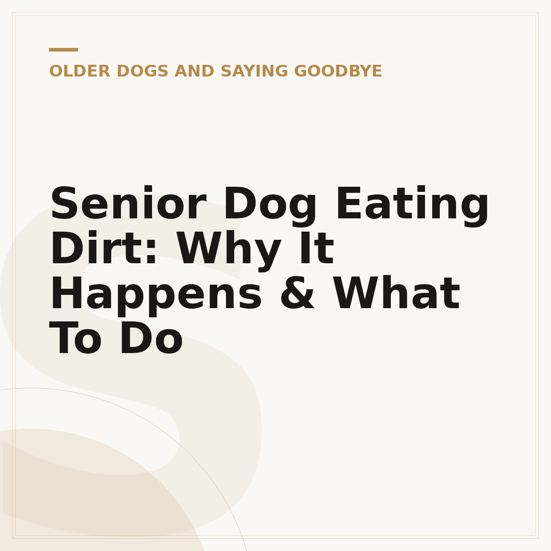 Senior Dog Eating Dirt: Why It Happens & What To Do