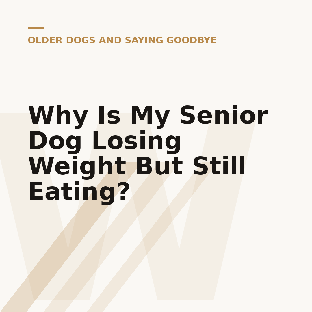 Why Is My Senior Dog Losing Weight But Still Eating?