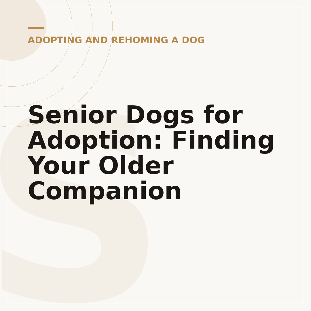 Senior Dogs for Adoption: Finding Your Older Companion