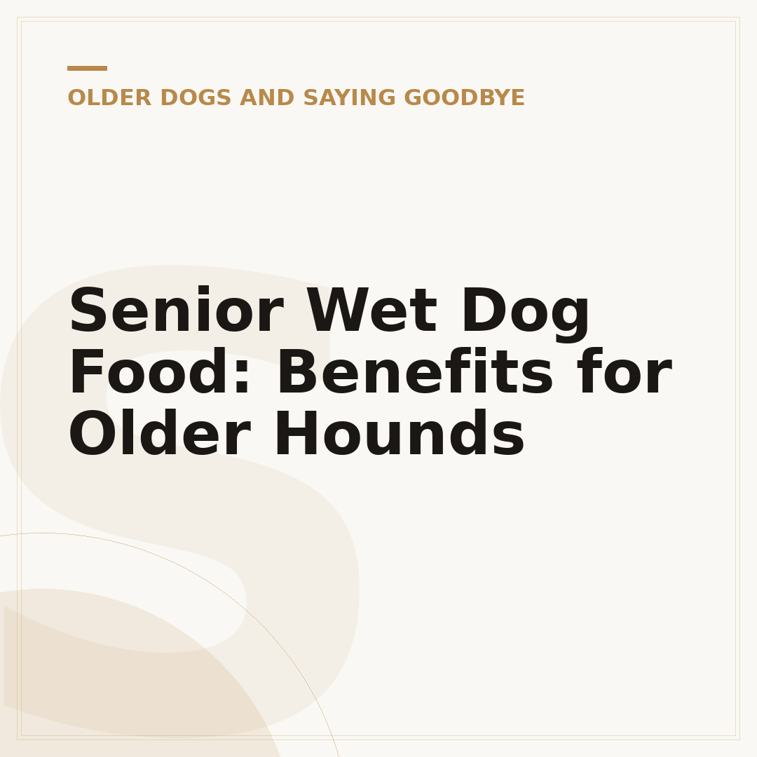 Senior Wet Dog Food: Benefits for Older Hounds
