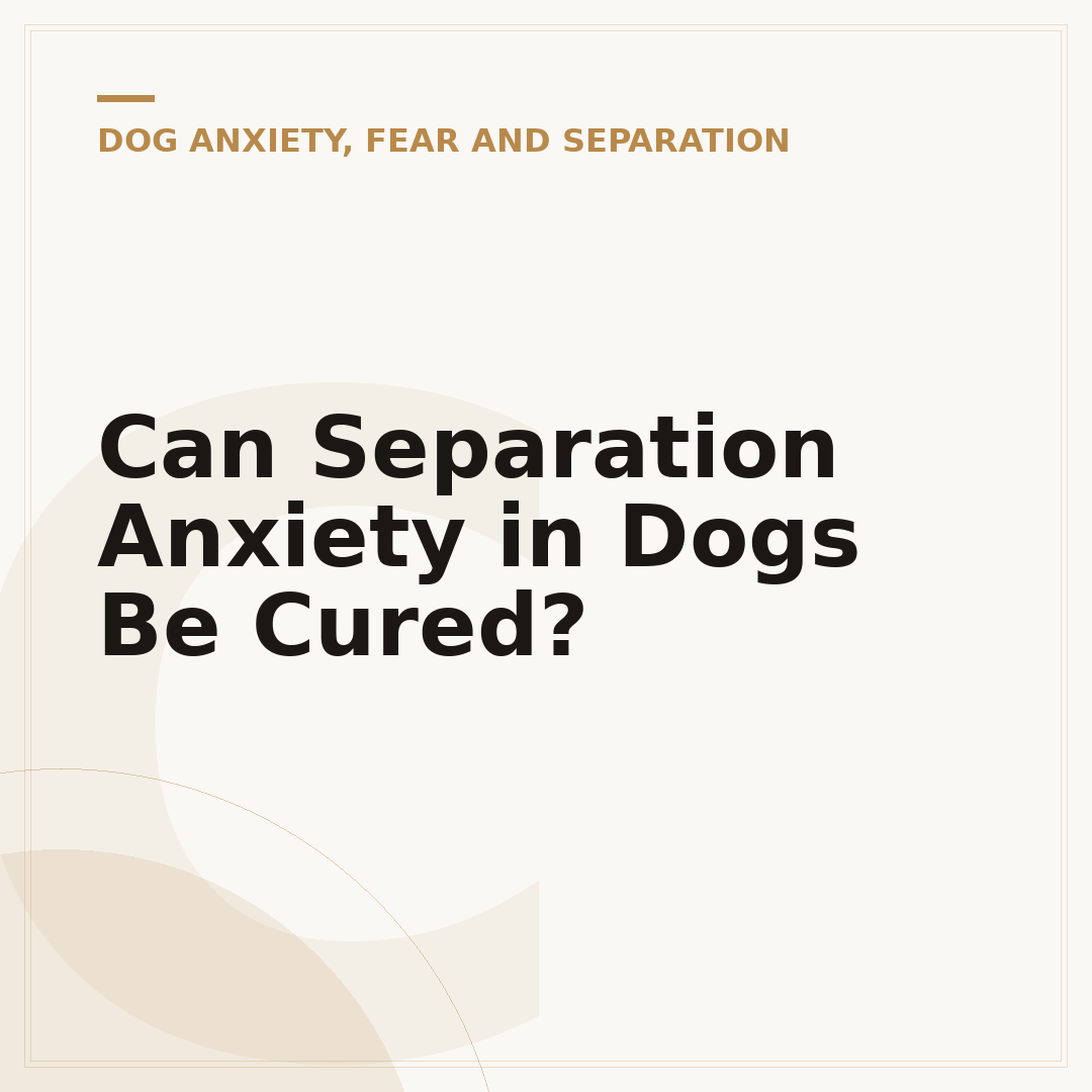 Can Separation Anxiety in Dogs Be Cured?