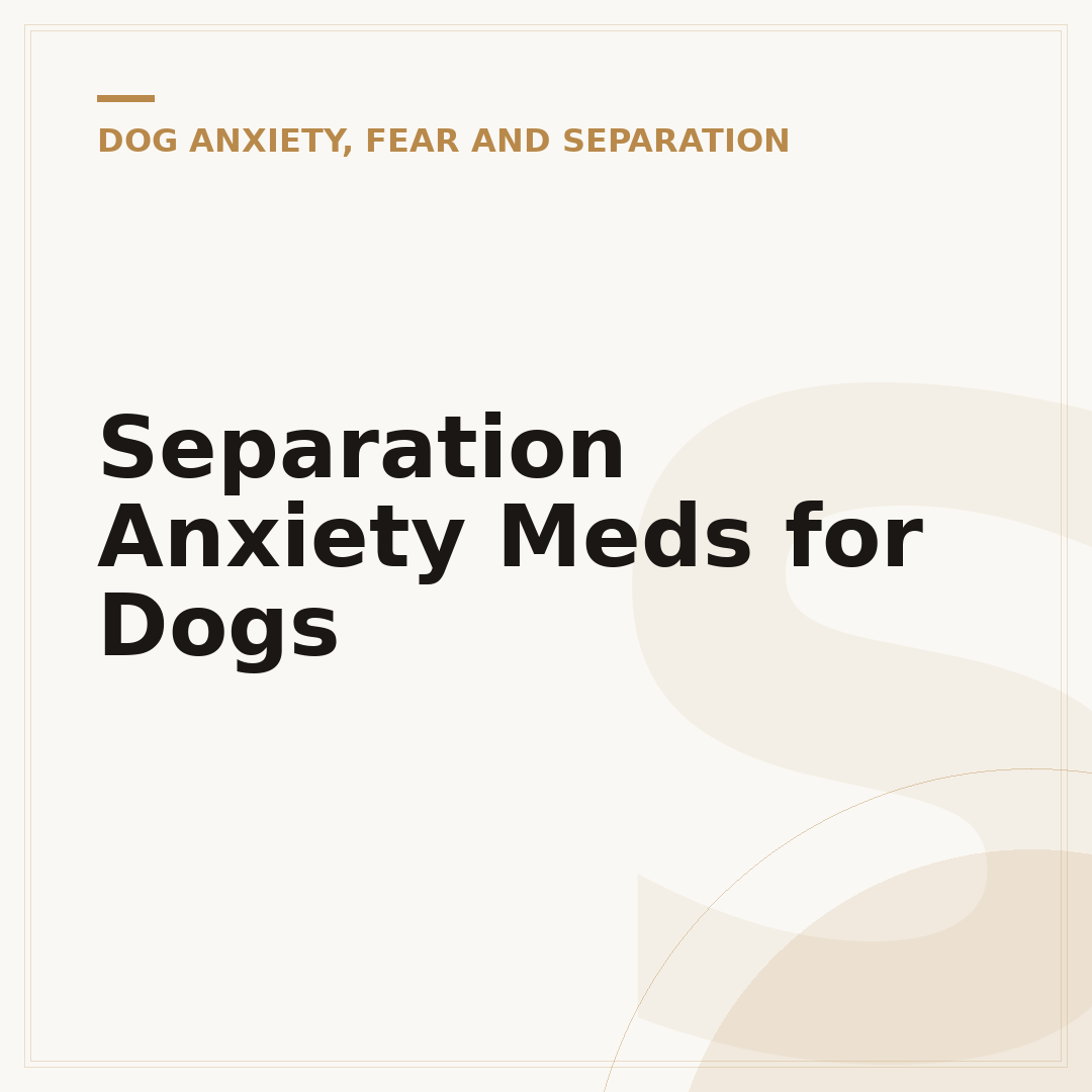 Separation Anxiety Meds for Dogs