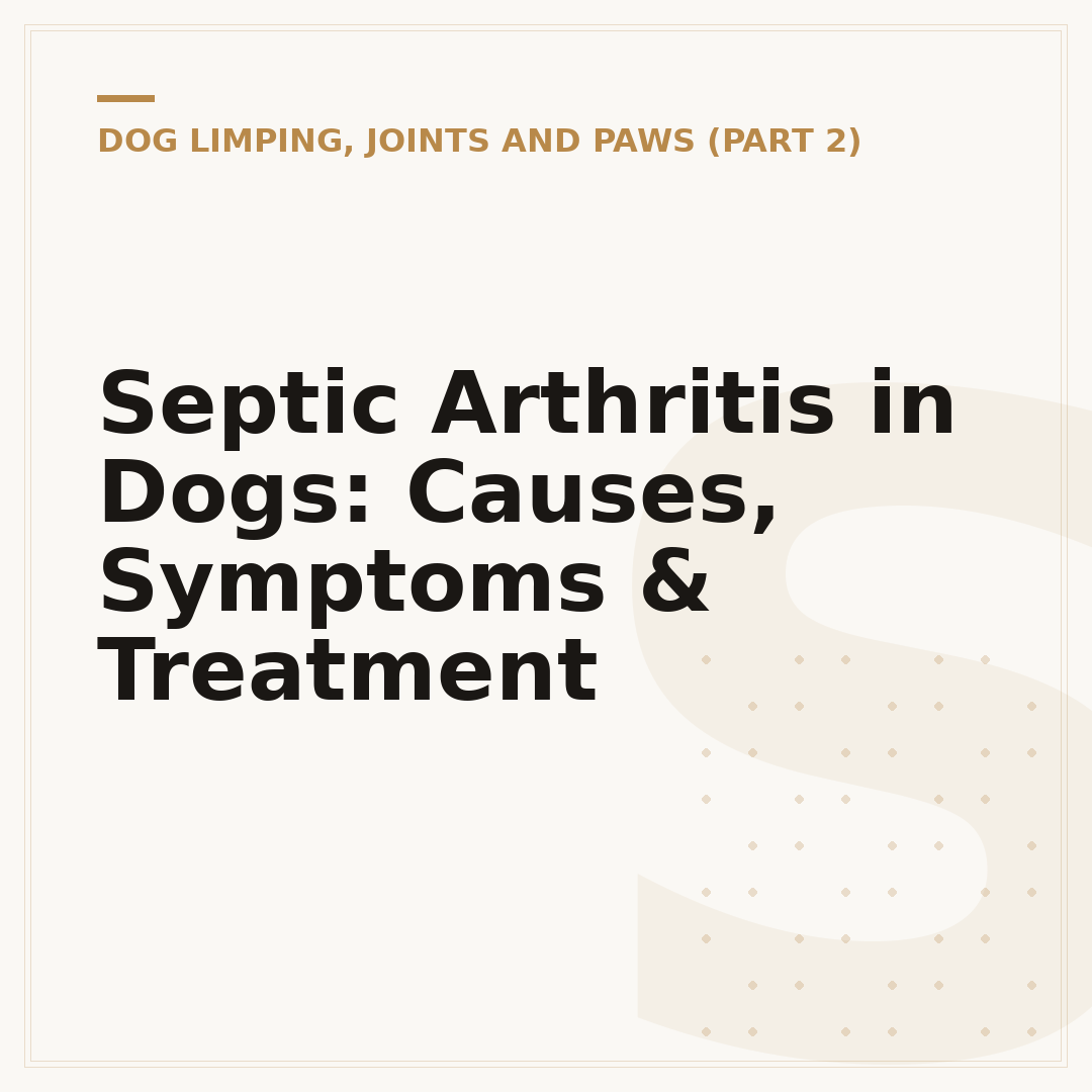 Septic Arthritis in Dogs: Causes, Symptoms & Treatment