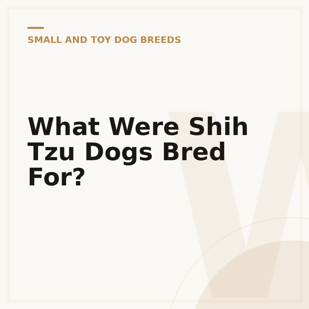 What Were Shih Tzu Dogs Bred For?