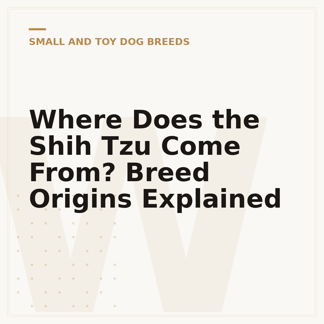Where Does the Shih Tzu Come From? Breed Origins Explained