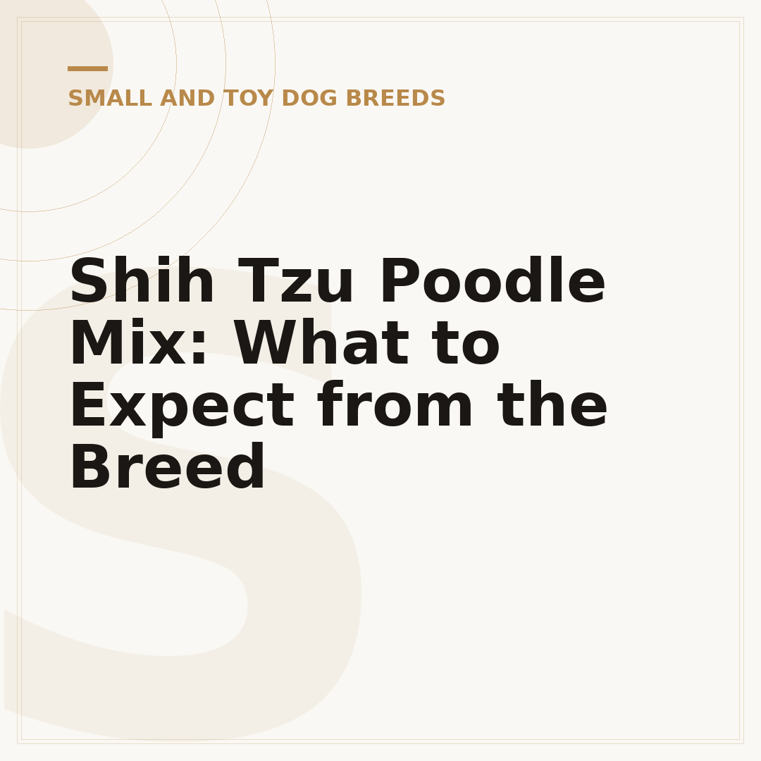 Shih Tzu Poodle Mix: What to Expect from the Breed