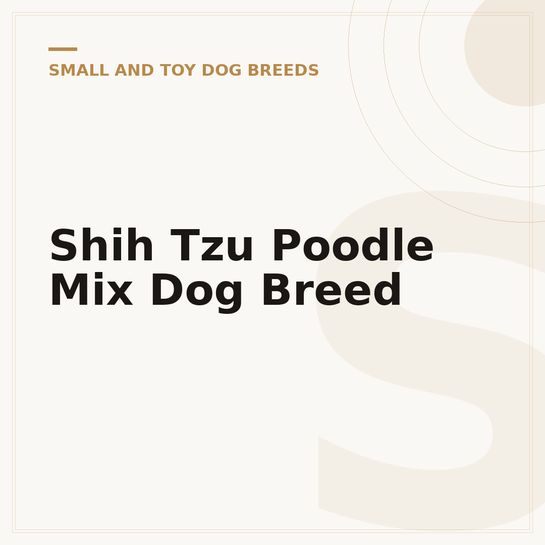 Shih Tzu Poodle Mix Dog Breed