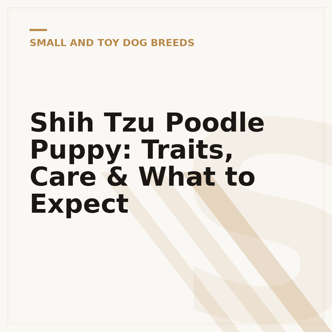 Shih Tzu Poodle Puppy: Traits, Care & What to Expect