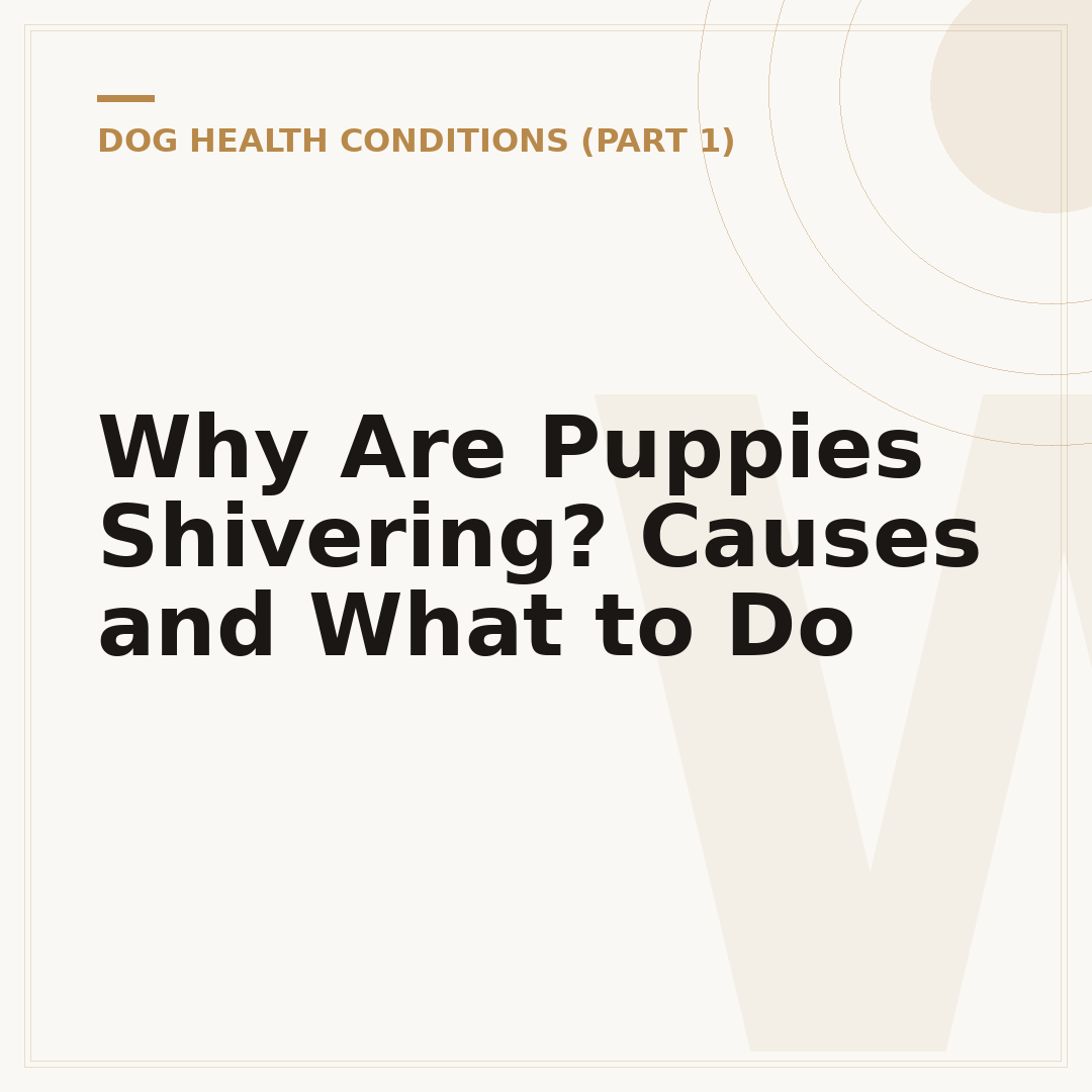 Why Are Puppies Shivering? Causes and What to Do