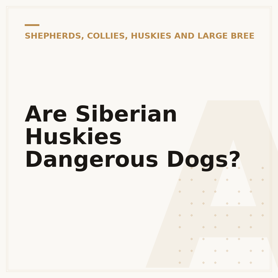 Are Siberian Huskies Dangerous Dogs?