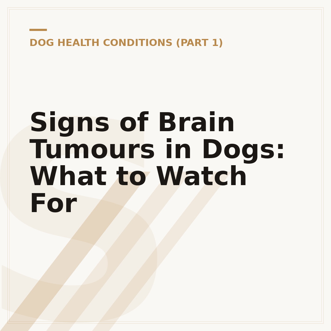 Signs of Brain Tumours in Dogs: What to Watch For