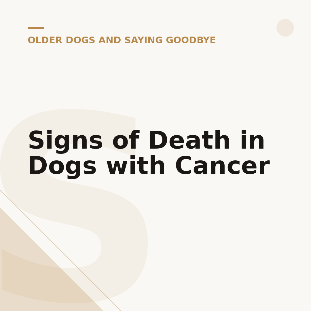 Signs of Death in Dogs with Cancer