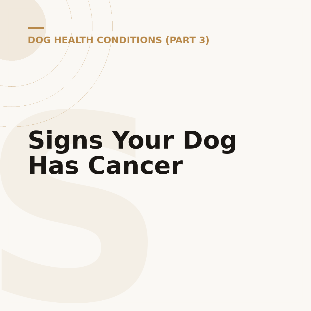 Signs Your Dog Has Cancer
