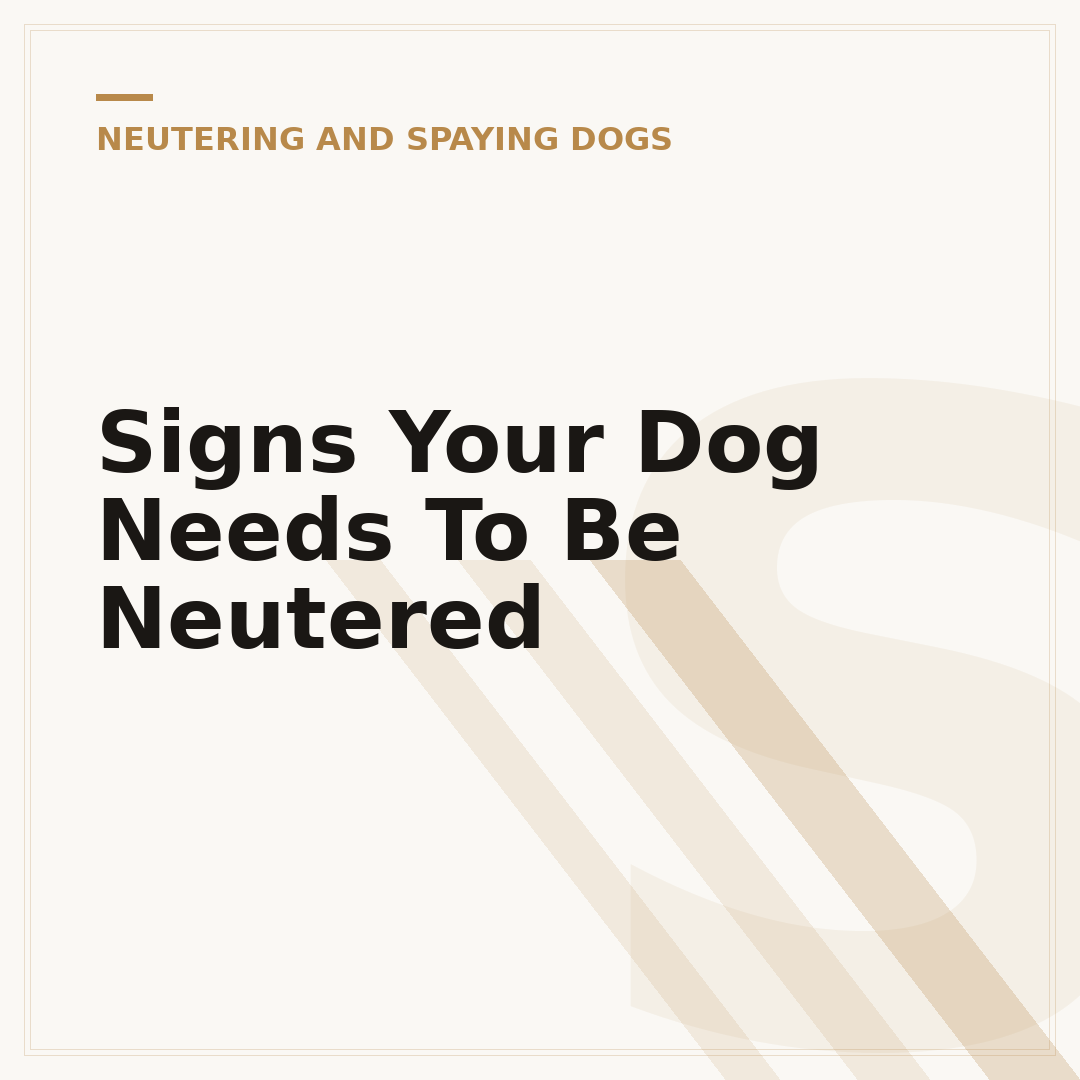 Signs Your Dog Needs To Be Neutered