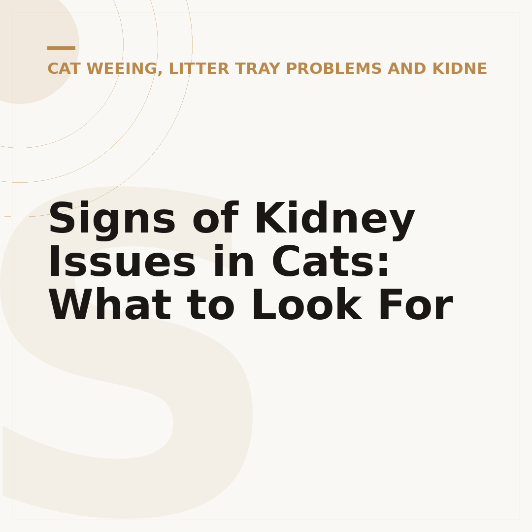 Signs of Kidney Issues in Cats: What to Look For