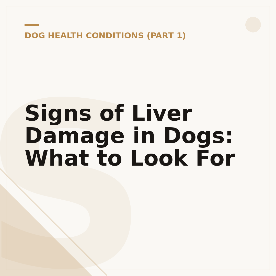 Signs of Liver Damage in Dogs: What to Look For