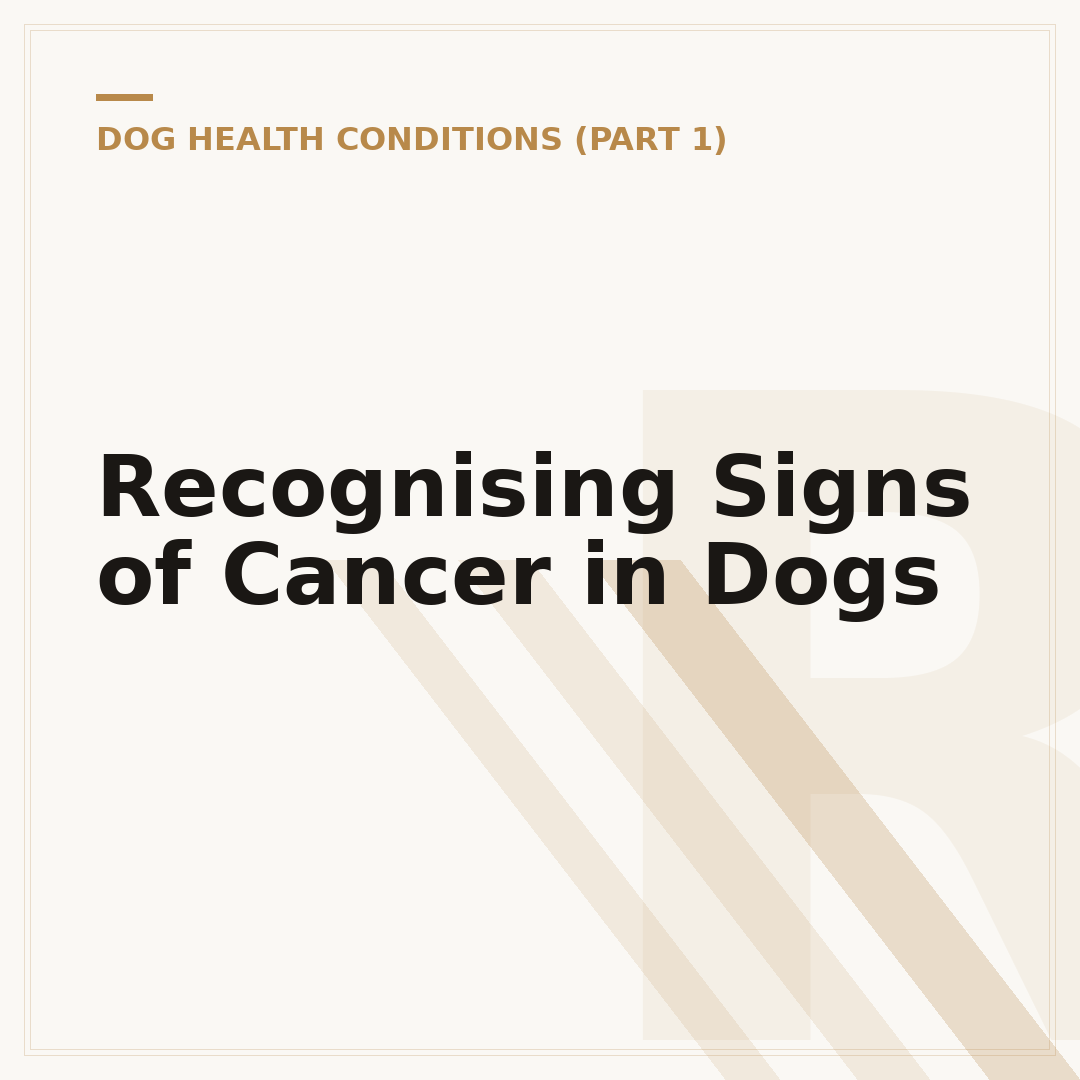 Recognising Signs of Cancer in Dogs