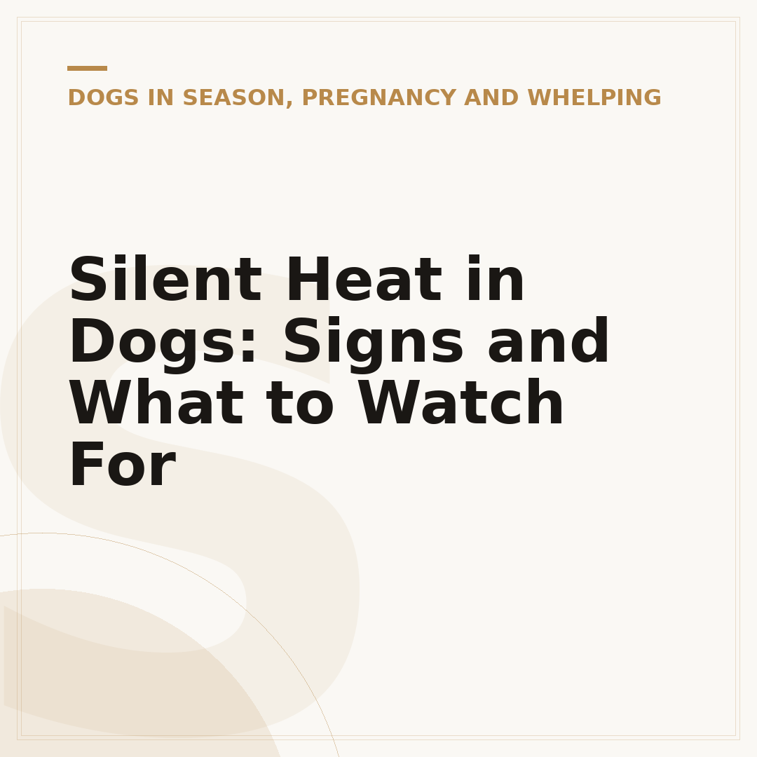 Silent Heat in Dogs: Signs and What to Watch For