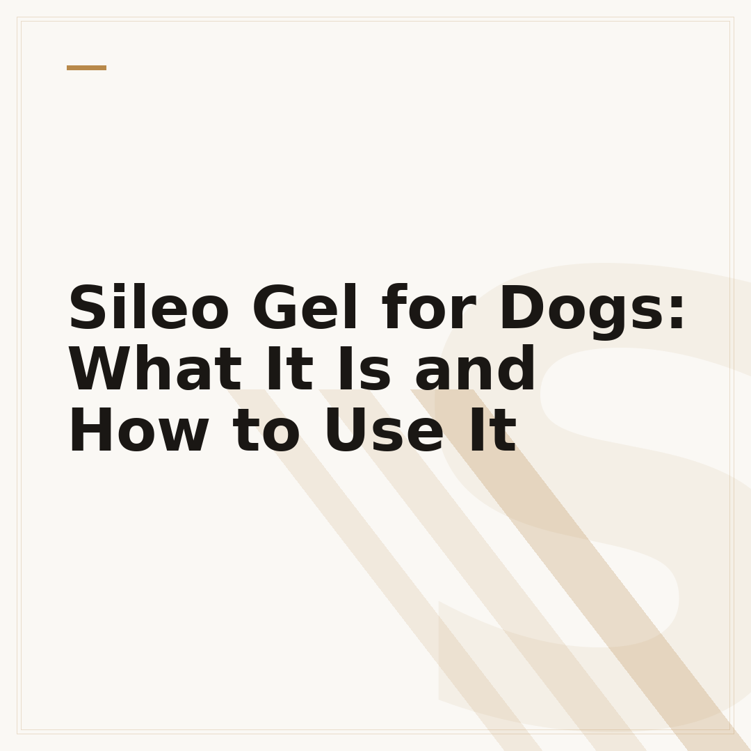 Sileo Gel for Dogs: What It Is and How to Use It