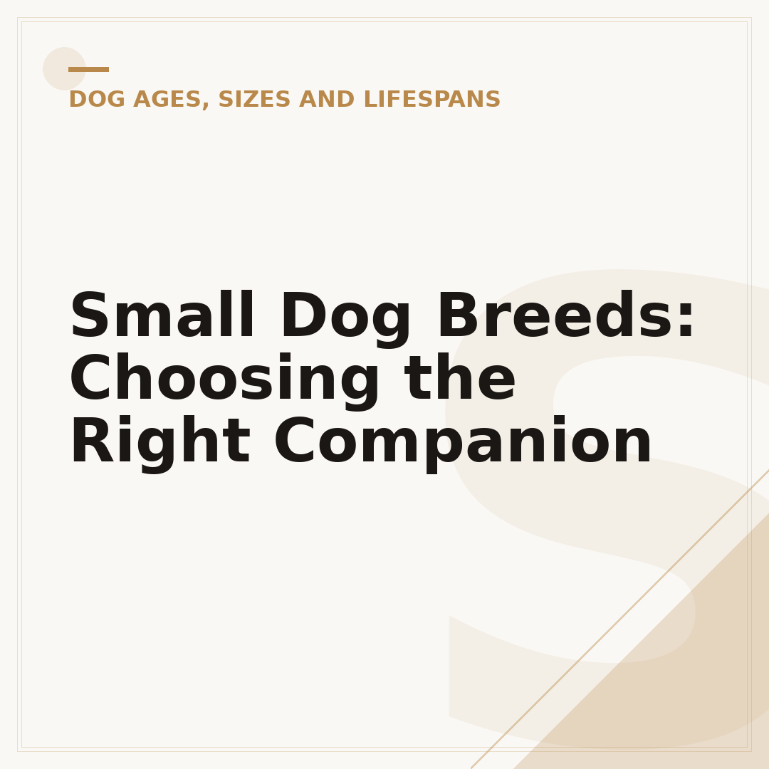Small Dog Breeds: Choosing the Right Companion
