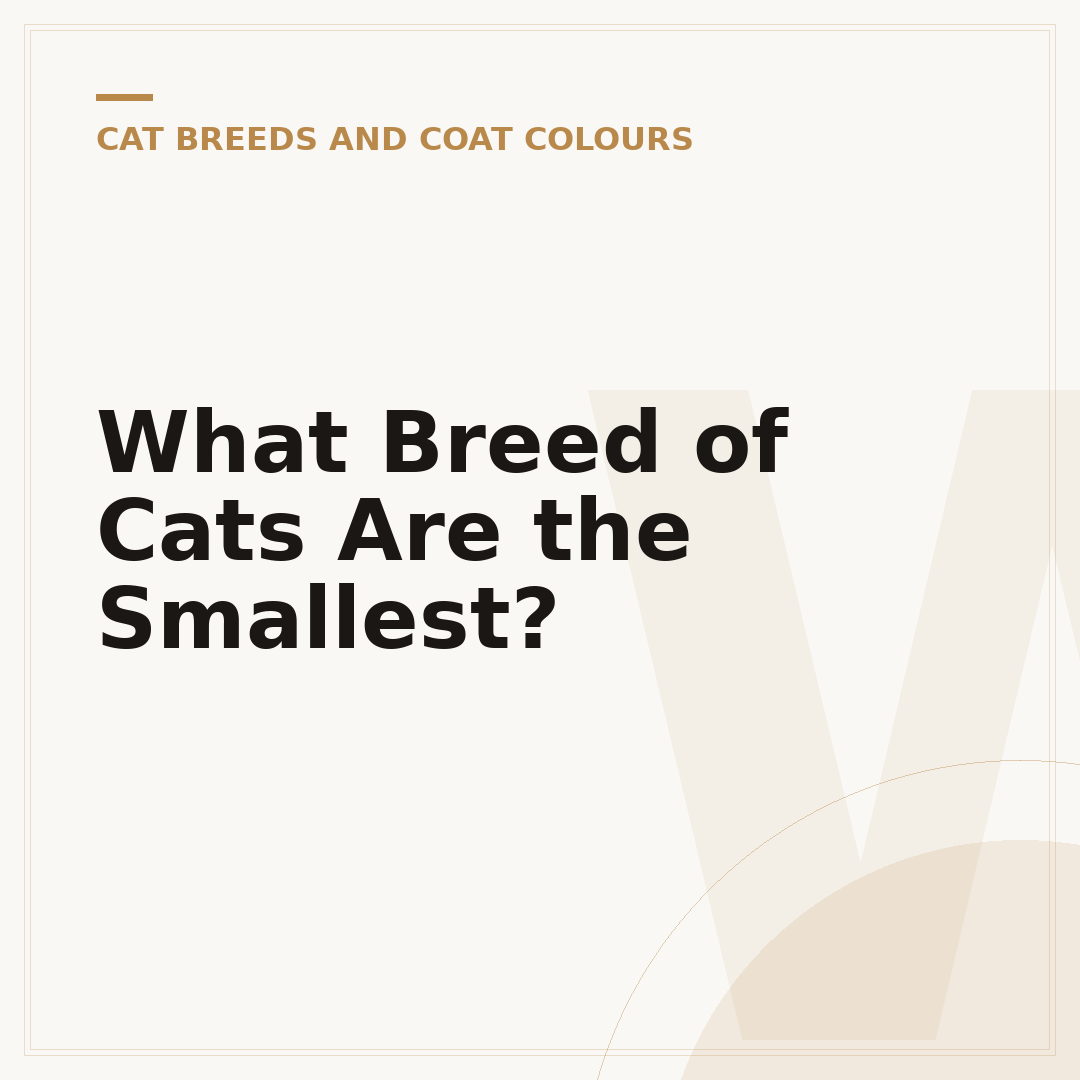 What Breed of Cats Are the Smallest?