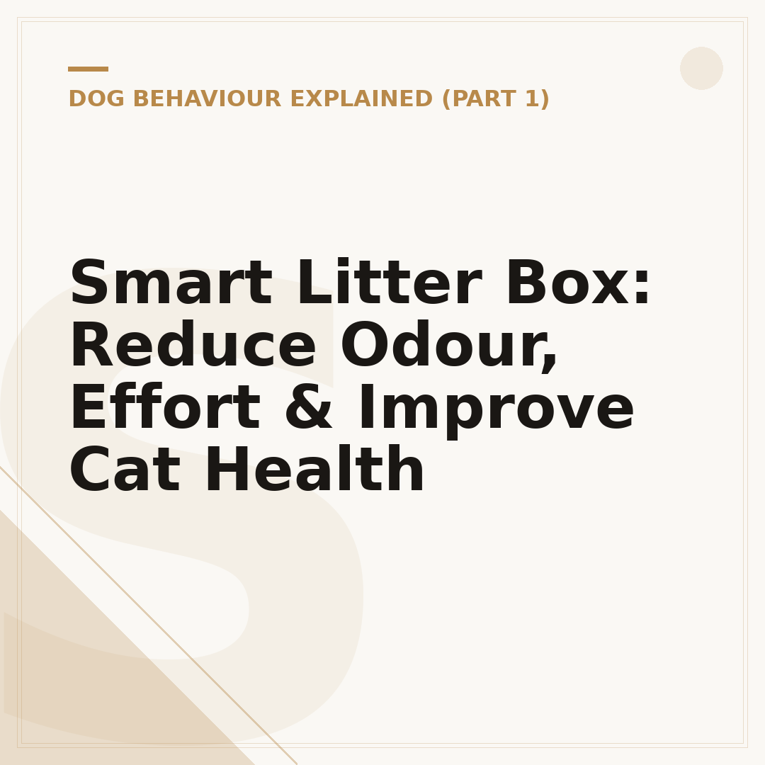 Smart Litter Box: Reduce Odour, Effort & Improve Cat Health