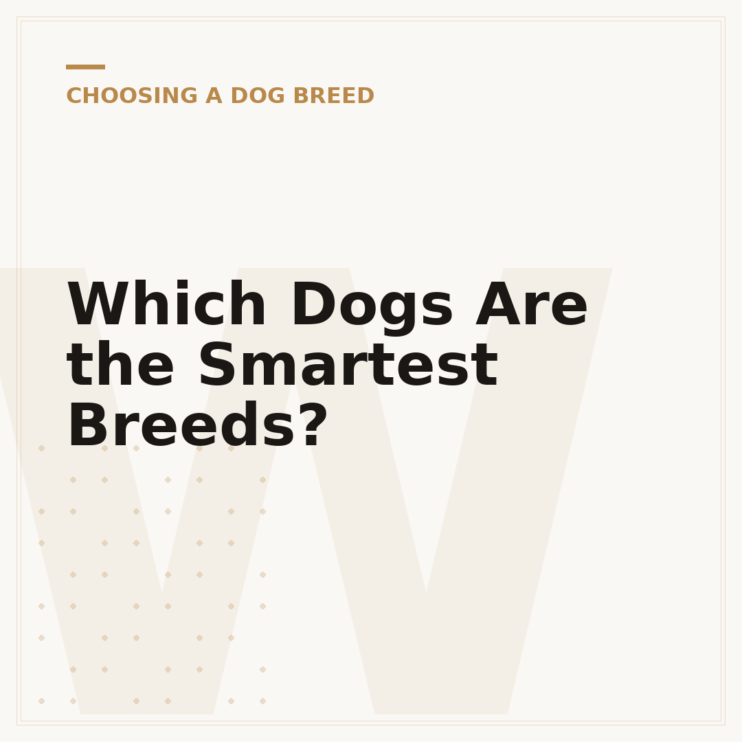 Which Dogs Are the Smartest Breeds?