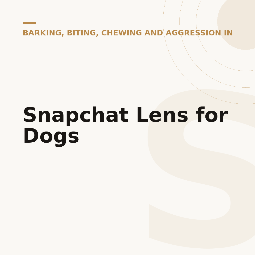 Snapchat Lens for Dogs