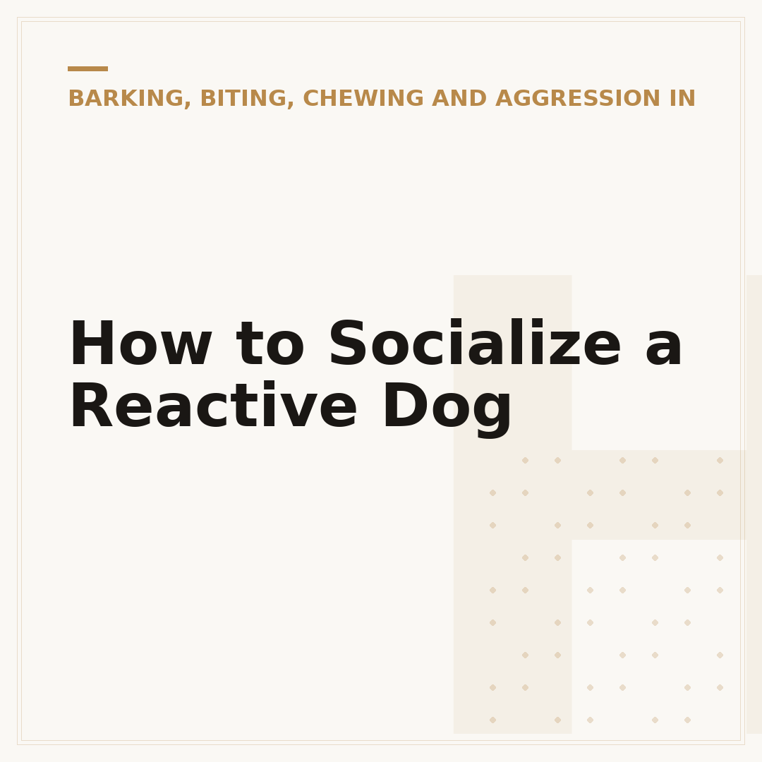 How to Socialize a Reactive Dog