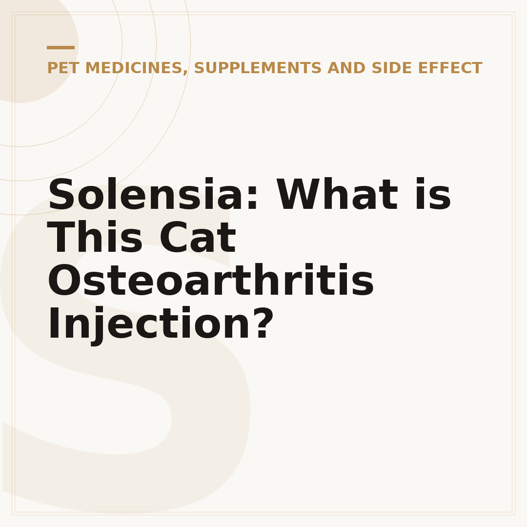 Solensia: What is This Cat Osteoarthritis Injection?